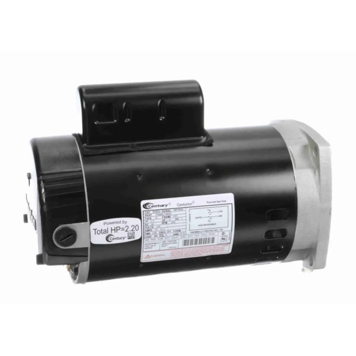 Regal Beloit B2855 Stainless Steel 2 HP 230 V ODP-Rated 56Y Frame-Square Flange Automatic Single-Phase Swimming Pool Pump Motor, 32 lbs, for Above-Ground Pool & Hot Tub Pumps