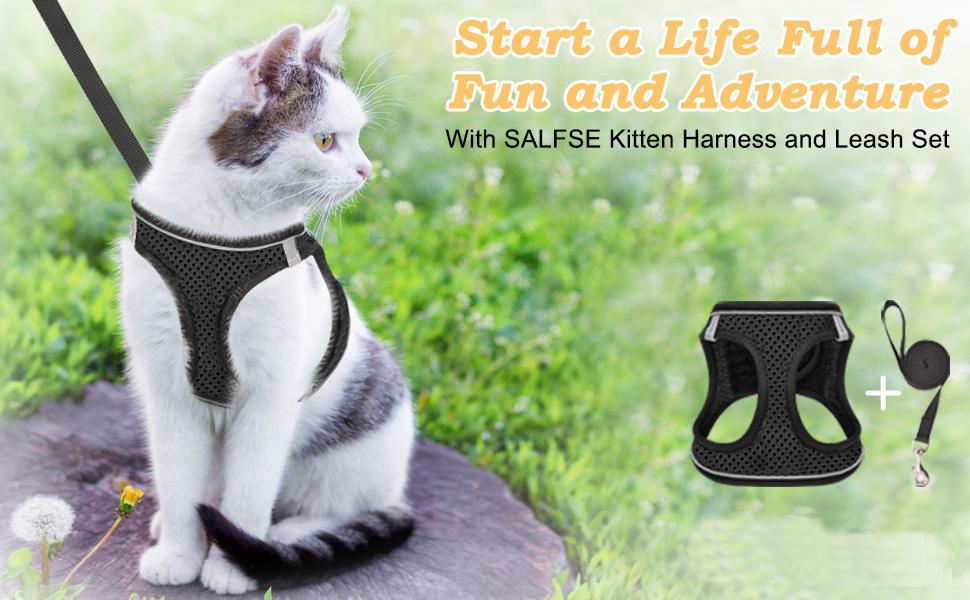 Escape Proof Cat Harness & Leash (≤13 lbs)Adjustable Reflective Soft Mesh Vest for Easy Safe Walks with Leash Included