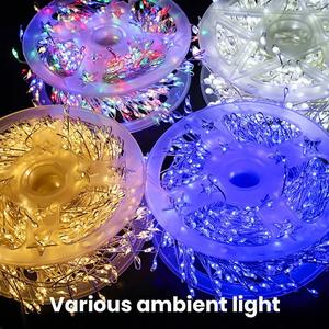 Led Fairy Light String, 65.6 Ft With 600 Led Bulbs, Usb-Powered Remote-Controlled Firefly Lights, Perfect For Holidays, Weddings, Parties, And Birthday Celebrations