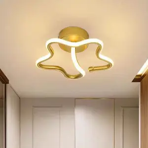 LED Ceiling Light, Gold Modern Lighting Design 3000K Warm Light Ceiling Lamp, Hardwired Drill-Hole Installation For Bedrooms, Living Rooms, Hallways Minimalist Indoor Home Ceiling Decorative Lighting