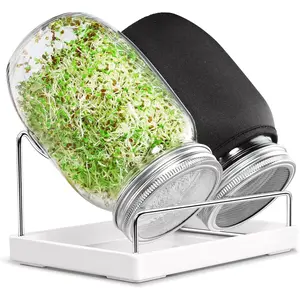 Seed Sprouting Jar Kit - 2 Wide Mouth Mason Jars with 316 Stainless Steel Sprouting Lids Covers, Drip Tray and Stand for Growing Broccoli Alfalfa Beans Sprout (Two Jars)