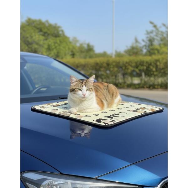 Kitty Crew Comfort Mat - Cat Mat - Pet Mat