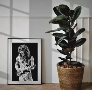 Eddie Van Halen, Vintage, Poster, Music Legend, Print Poster