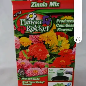 Flower Rocket Zinna Mix Pack