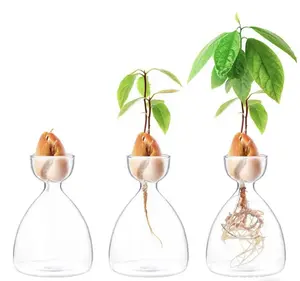 Transparent Avocado Glass Growing Vase Plant Vase Avocado Seed Starter Vase Avocado Vase for Gardening Lovers Home Decor Gift