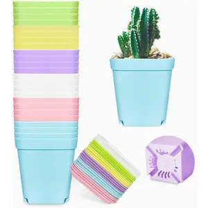 24 Pack 3inch Multi Color Square Plastic Plant Pots Seedling Nursery Transplanting Planter Container for Indoor Outdoor Room Garden Office Balcony Decor