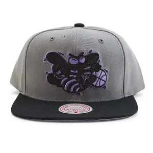 Mitchell & Ness Grey/Blck NBA Charlotte Hornets Neon Lights HWC Snapback