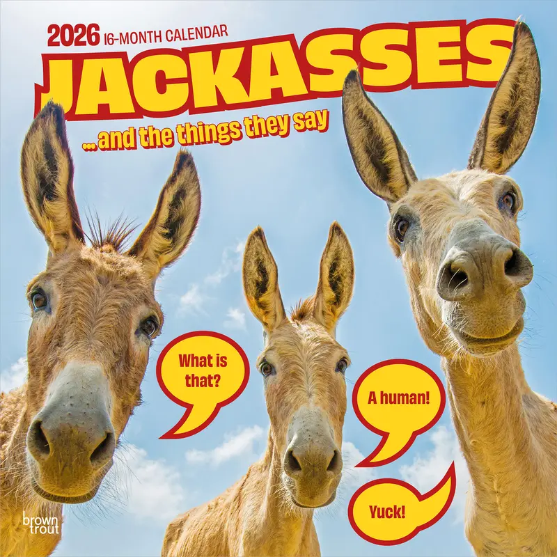 Jackasses | 2026 12 x 24 Inch (Hanging) Monthly Square Wall Calendar | Plastic-Free | BrownTrout | Donkey Humor