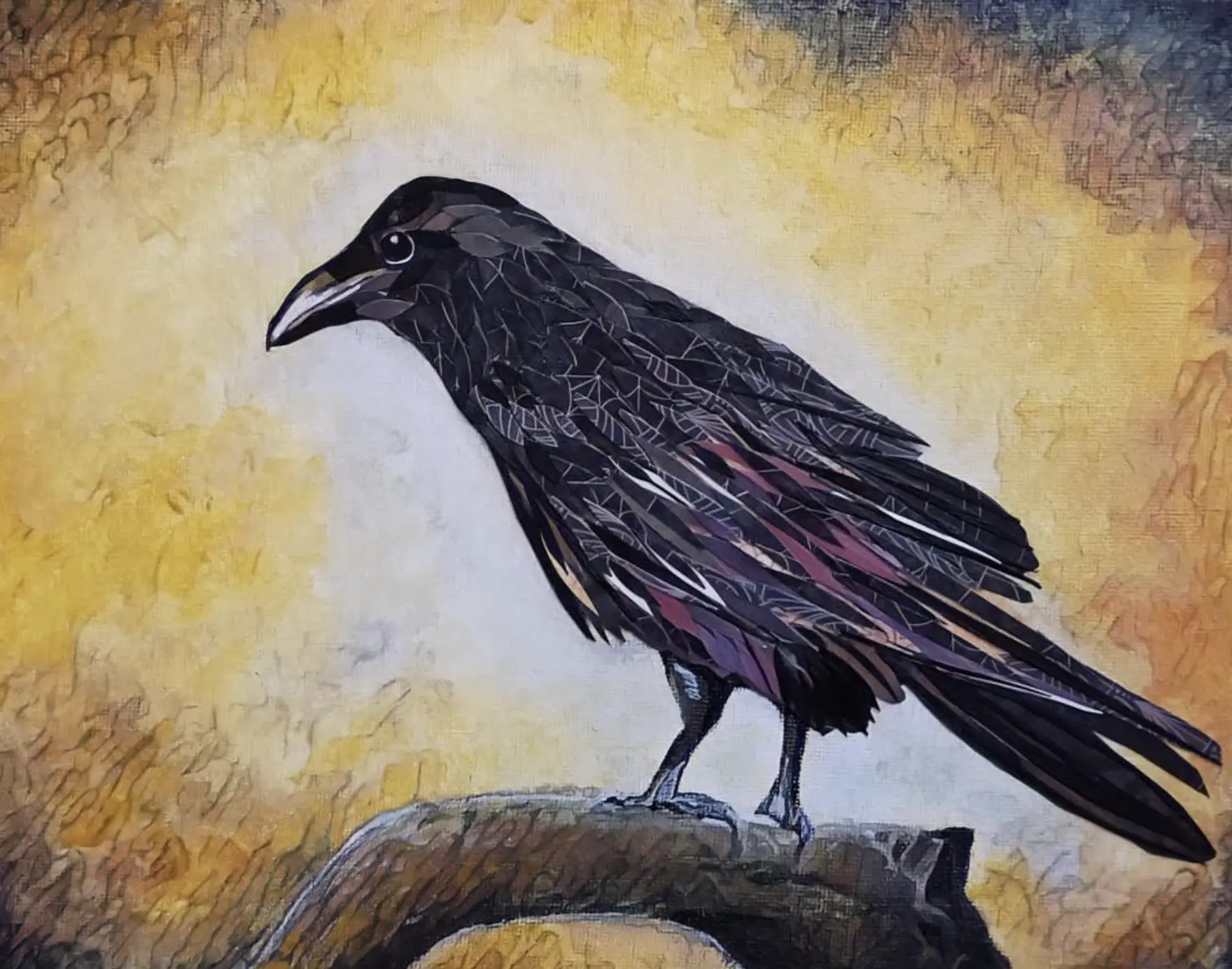 Young Raven 9 x 12 Art Print