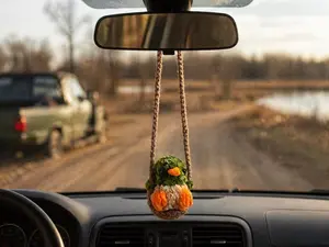 Crochet Duck Car Charm | Handmade Mallard Plush Rearview Mirror Ornament