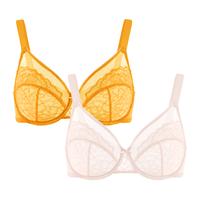 Dusty Peach+Cadmium yellow (2 Pack)