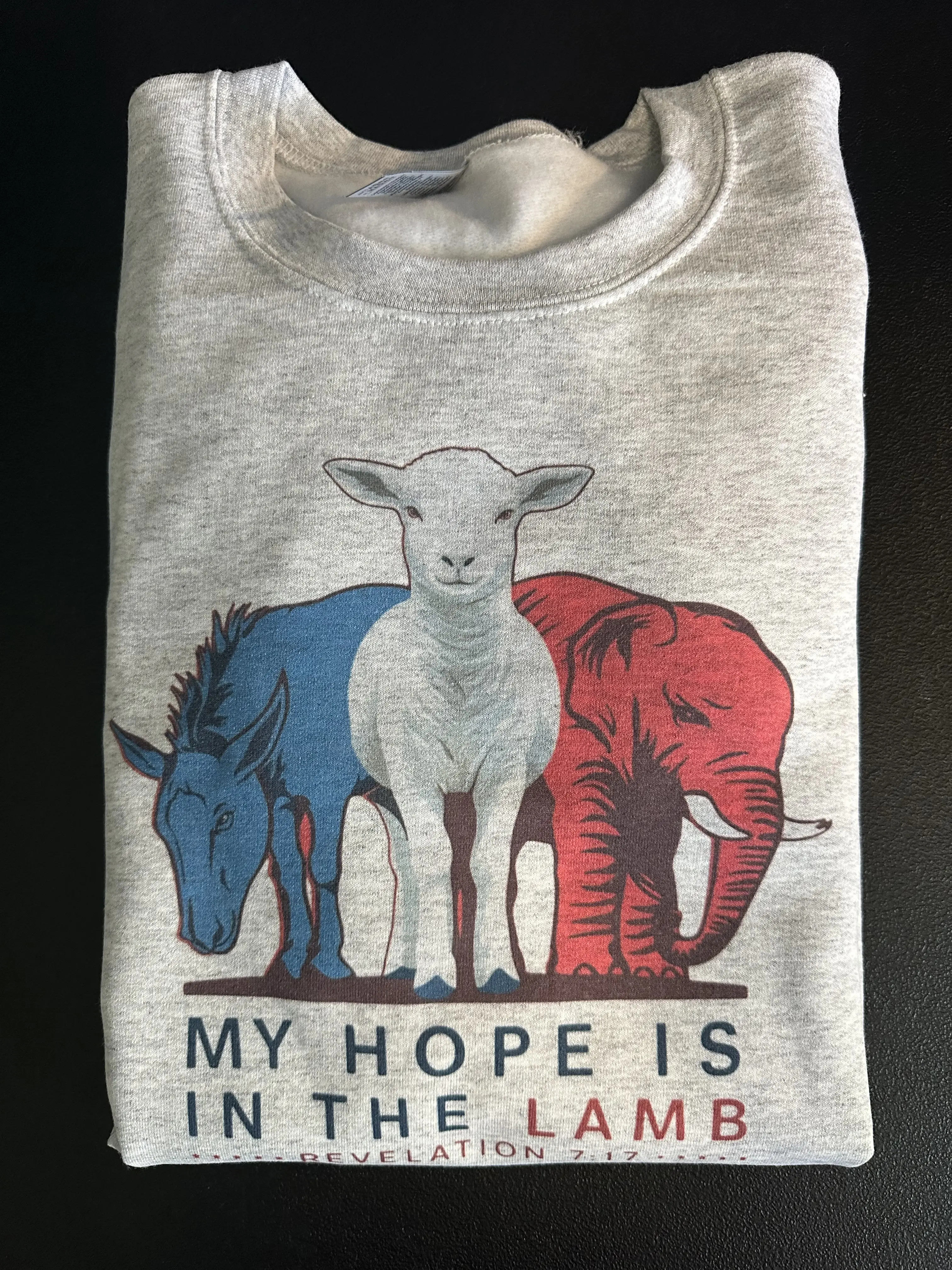 My Hope Is In The Lamb Christian Sweatshirt