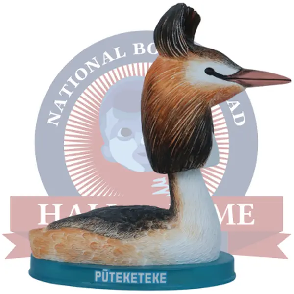 Pūteketeke Bobblehead Pūteketeke Bobblehead