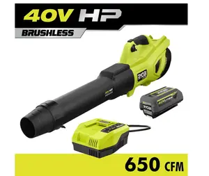 40V HP Brushless Whisper Series 160 MPH 650 CFM Cordless Leaf Blower with 4.0 Ah Battery and Charger