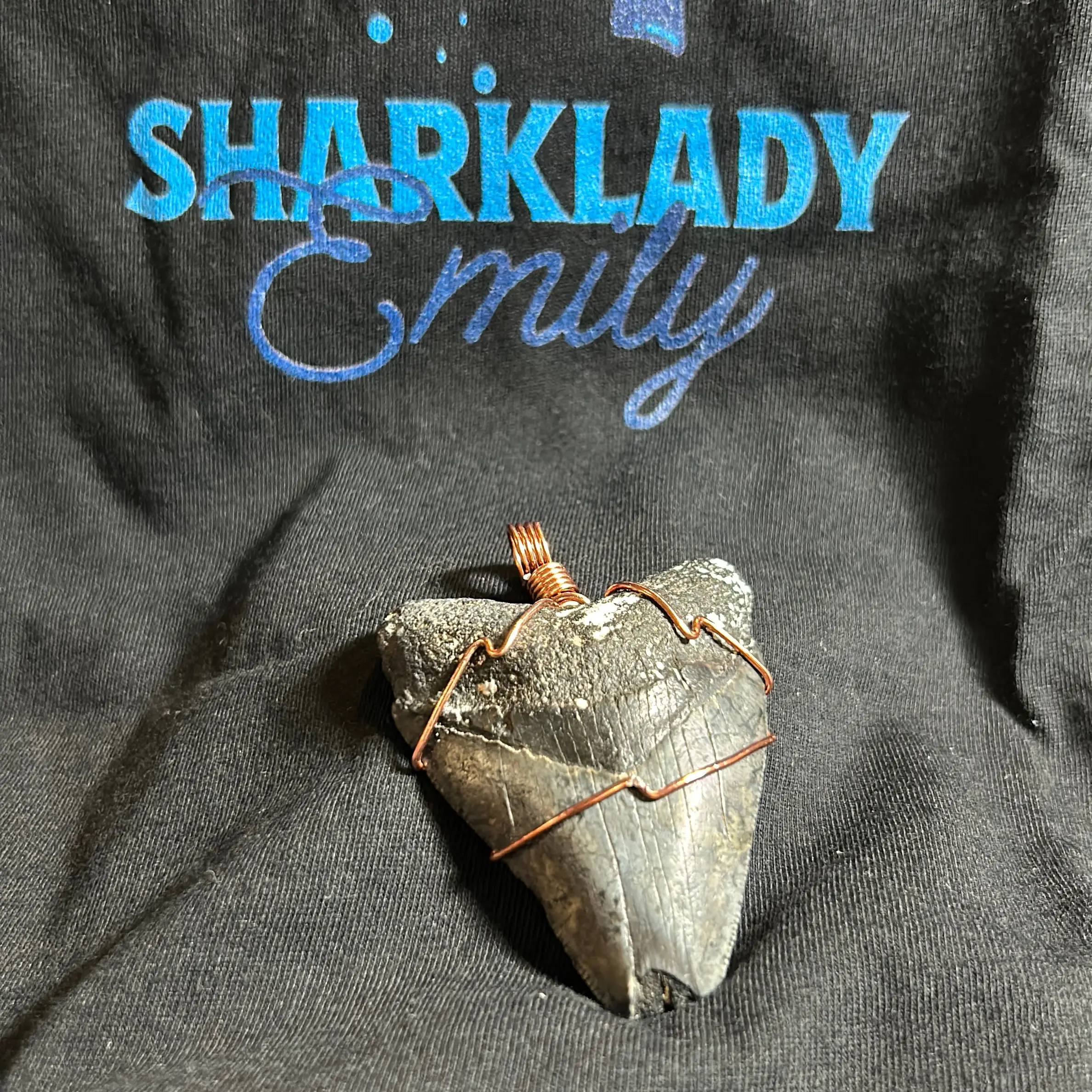 Megalodon tooth Pendant