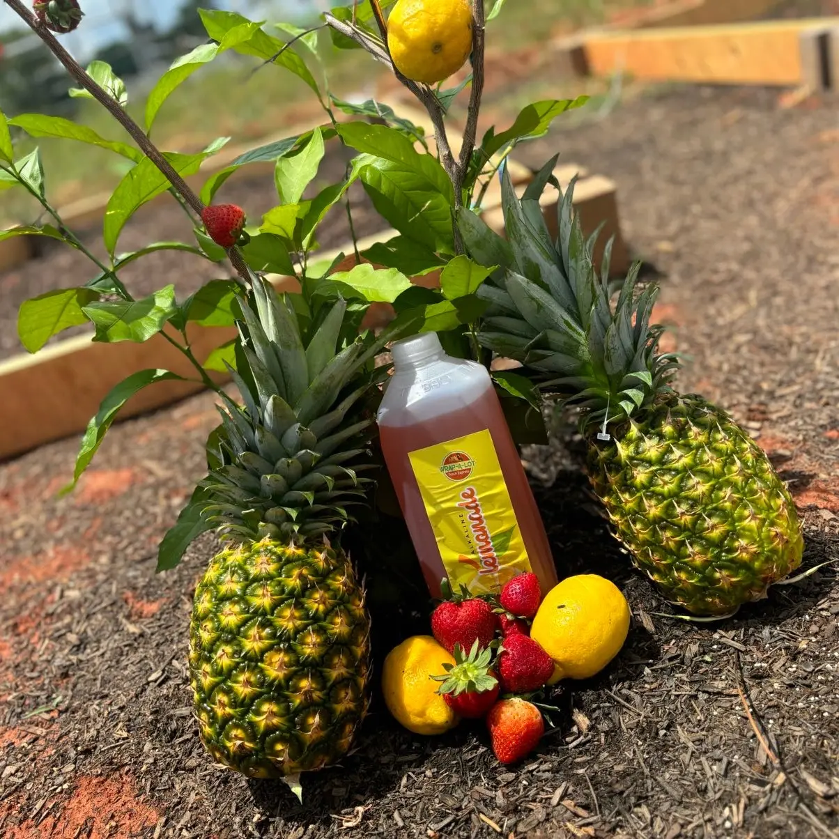 Alkaline Lemonade