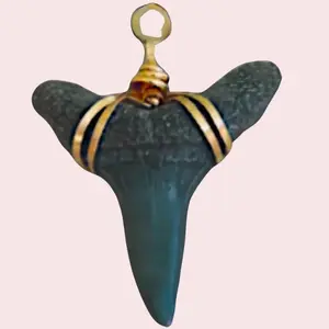 Real Fossilized Shark Tooth Pendant Gold or Silver Wire Wrapped Boho Style Necklace Accessory for Boho Fashion Unique Ocean History Charm from Florida's Seashores