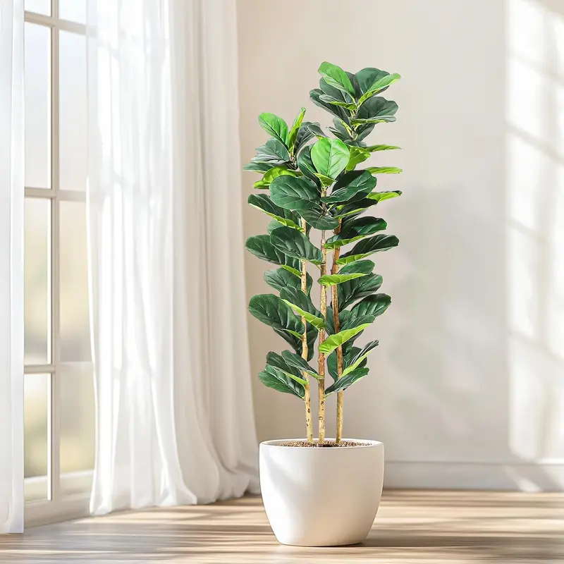 fiddle leaf figs toxic to cats - TikTok Shop