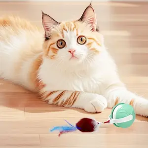 Smart Interactive Pet Hiding Ball| Automatic Moving Toy for Cats & Dogs