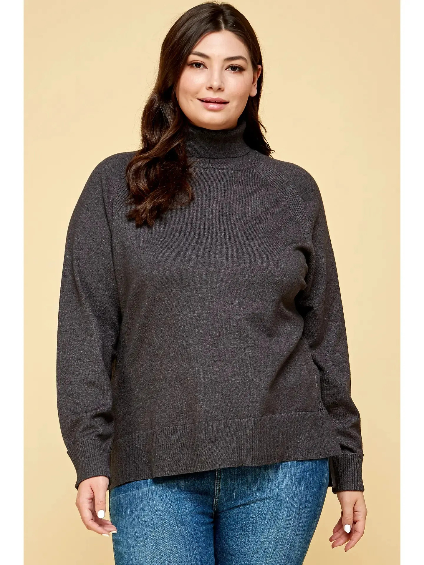 Plus Size Turtleneck Solid Sweater