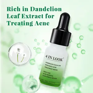 [4 IN LOOK Offcial]Dandelion Acne Treatment Serum – Blemish Control, Oil-Free, Natural Plant-Based Formula for Pimples, Dark Spots, and Oily Skin