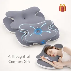 2 Pack Memory Foam Pillows with Breathable Silk Cover, Ergonomic Design for Back, Side & Stomach Sleepers, Ideal Comfort Gift