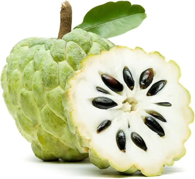 30PCS Sugar Apple Seeds for Planting, Tropical Custard Apple Fruit Tree Seeds, Non-GMO Sweet Exotic Fruit for Home Garden