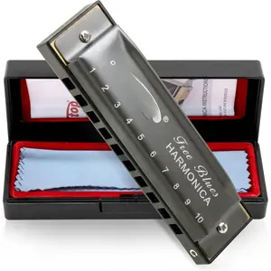 Deluxe Harmonica Key of C, 10 Holes 20 Tones Mouth Organ Diatonic Blues Harmonica For Adults, Beginners, Professionals and Students, as a ( grey)