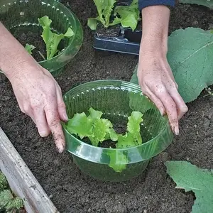 Round Plant Protective Cover, Plant Protection Caps, Flower Pot Covers for Garden, Lawn Care & Pest Control, Garden Supplies