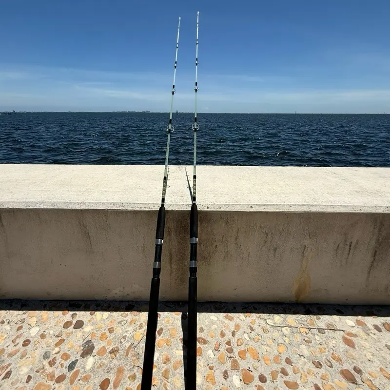 carrot stix fishing pole Wild Alpha Casting Med Mod (7 ft 0in) : Sports & Outdoors (For those of who you are not fishing pros carrot stick rod - TikTok