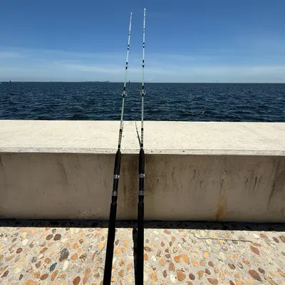 5 Below Fishing Rod - TikTok Shop