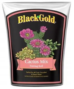 8 Quart Cactus Mix Potting Soil
