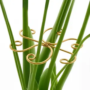 Garden Plant Support Pole, Metal Floral Arrangement Stand, Climbing Vines Anti-Tilt Fixing Device, Suitable for Outdoor Indoor Plants, Metal Trellis, Plant Supports Stakes