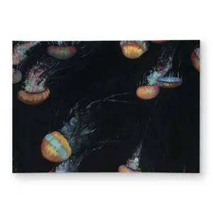 Begin Home Decor C1ROAR57RSAHT4 5 x 7 ft. Colorful Jellyfishes Swimming in the Dark - Outdoor Rectangle Area Rug