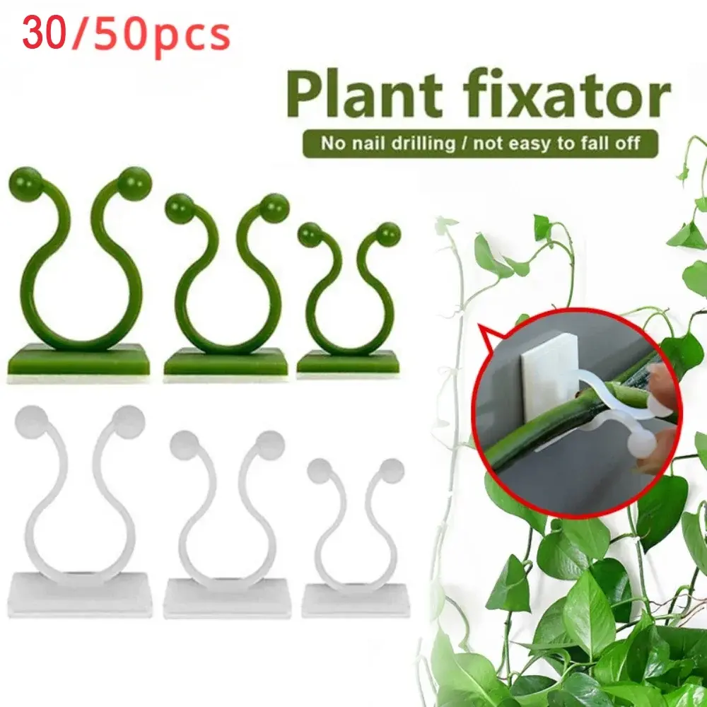 30pcs/50pcs Plant Climbing Wall Self-Adhesive Fasteners, Tied Fixtures, Vine Buckle Hooks, Garden Plant Wall Climbing Vine Clips, Fixed Buckle Hooks, Wall Plant Holder, Garden Plant Supplies