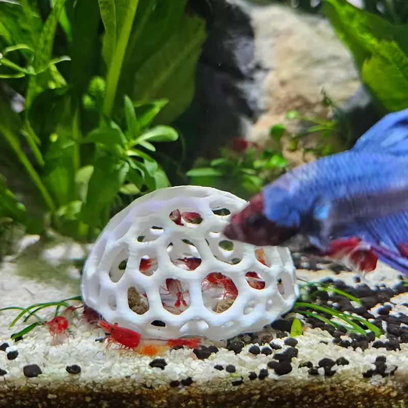 Aquarium Shrimp Dome Decor, Safe Plastic Hiding Spot for Shrimp, Moss Rack, Aquarium Top Decoration, Essential Fish Tank Accessory