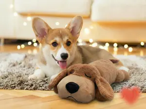 Dog Anxiety Companion, Heartbeat Dog Plush Toy,  Anxiety Relief & Calming Tool, Calming Dog Toy, Crate Training Essential,  Behavior Training &Sleep Aid, Cuddle Companion, Puppy Toy, Interactive pettoys, Dog Products, Durable Chew, dog toys