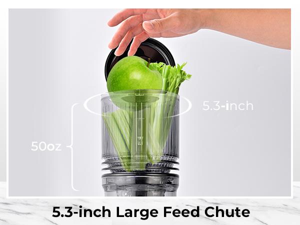 SUSTEAS Cold Press Juicer Large 5.3 Inch Feed Chute Juice Yield Up to 98% Easy to Clean with Two Filters for Whole Vegetables and Fruits