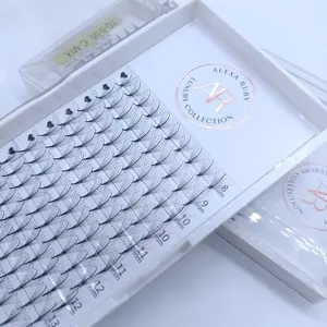 5D C 0.07 Pro-made Wispy Spike Fans 08-15mm.        7D D 0.07 Pro-made Wispy Spike Fans 08-15mm.               Lash Extensions