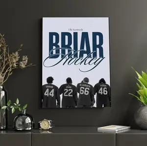 Briar Hockey Poster, Off Campus Inspired Wall Art, Elle Kennedy Hockey Romance Print, Briar U Team Poster, BookTok Sports Romance Decor