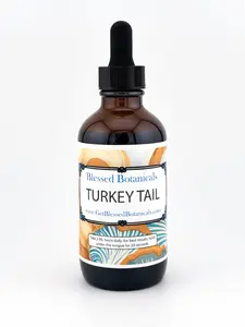 Organic Turkey Tail Mushroom Extract – Mushroom-Based Herbal Supplement