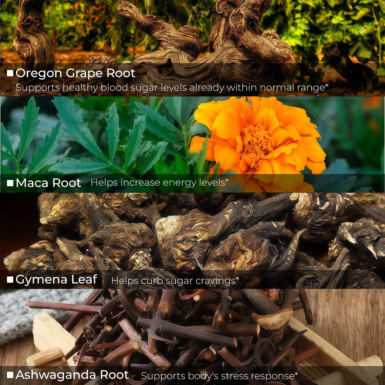 MYMYDEMetabolic Support Liquid Herbal Drops* | Antioxidant Rich, Alcohol-Free, Clinically-Tested, Certified Gluten-Free, PETA Certified Vegan & Cruelty-Free, Third Party Tested, Plant-Based, Made in the USA