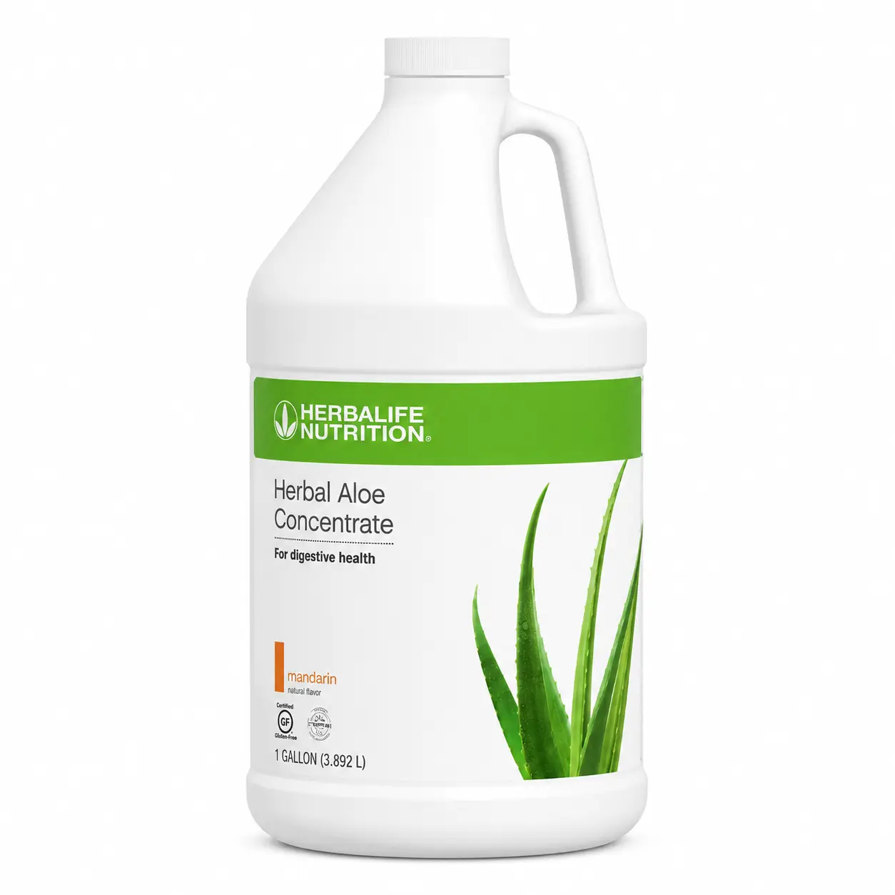 Herbalife Nutrition Herbal Aloe Concentrate Mandarin Half Gallon  Gluten-Free Aloe Vera Drink for Daily Hydration & Wellness Support - TikTok  Shop