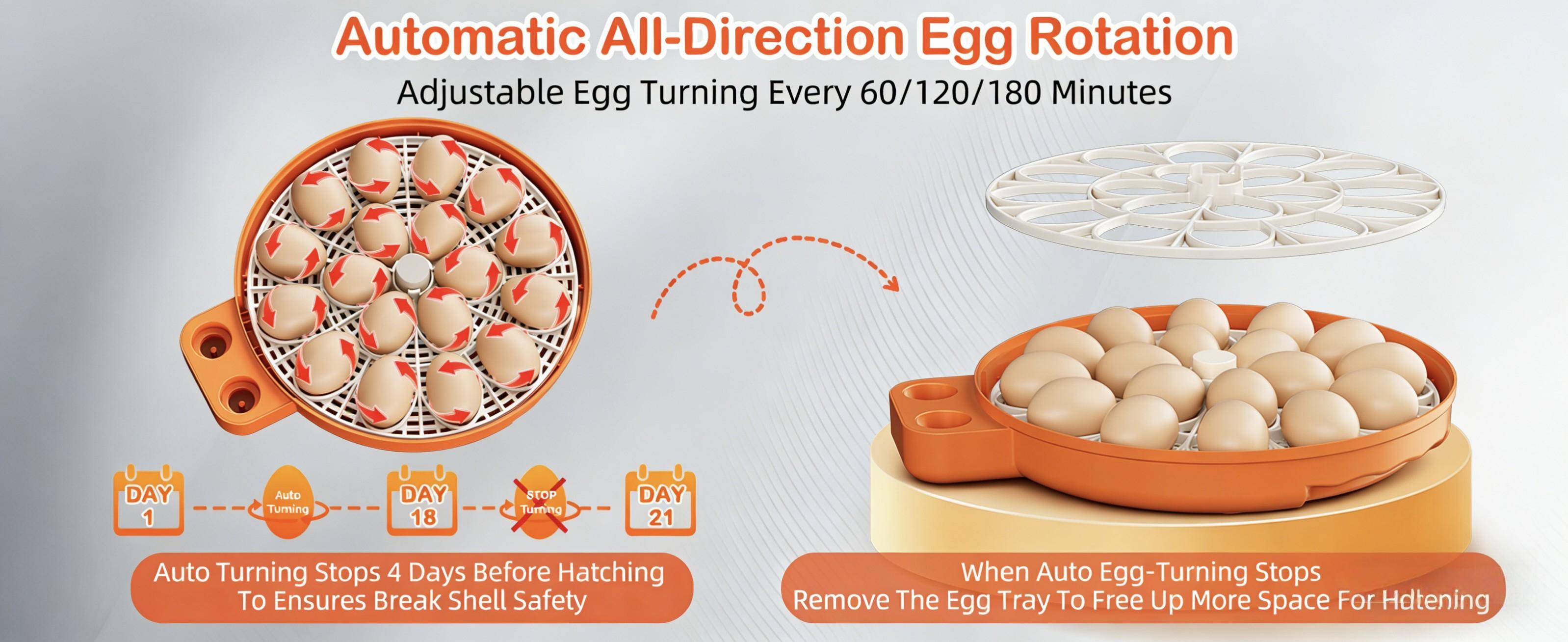 18-Egg Incubator, Fully Automatic with Egg Turner & Temperature/Humidity Control, Clear Lid and Storage, for Hatching Chicken, Duck, Quail Eggs