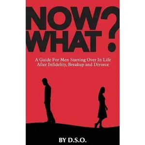USED-Now What?: A Guide for Men Starting Over in Life After Infidelity, Breakup and Divorce by Dso (Paperback)