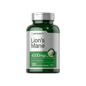Lions Mane Mushroom Extract | 4200mg | 120 Capsules | Vegetarian, Non-GMO, Gluten Free Supplement