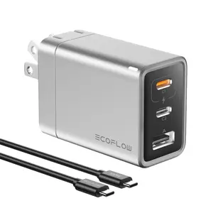 EF ECOFLOW USB C Charger, Rapid 65W GaN Type C Charging Block with Foldable Plug, Fast Wall Charger Compatible with iPhone 15/14/13, Galaxy, Pixel 4, iPad, AirPods, Apple Watch (USBC Cable Included)
