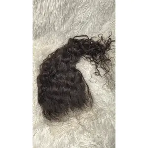 BURMESE CURL CLOSURE