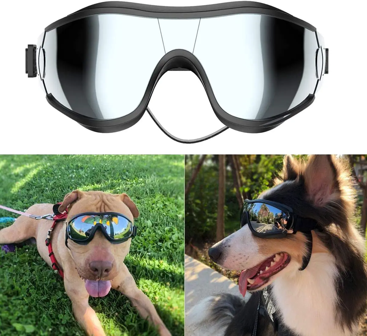 Dog SunGlasses with Scratch-Resistant Lenses