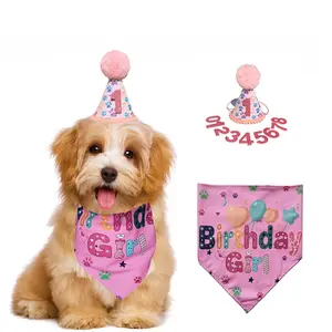 Pet hat with bow tie, cat party decoration, dog birthday hat